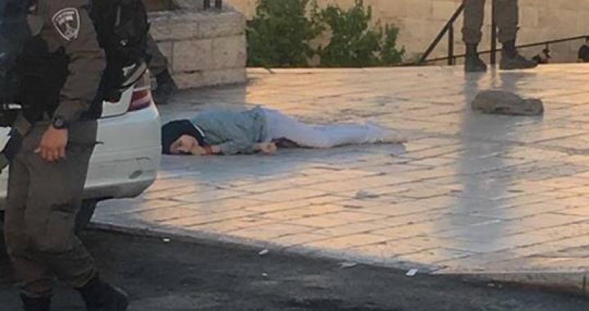 18275208_329149140835362_4398382084644224236_n