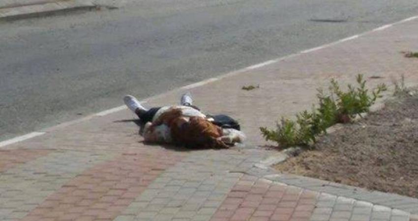 منظمة المرأة العربية تدين إعدام فلسطينية على حاجز إسرائيلي