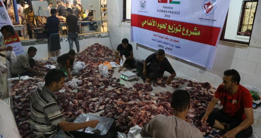 توزيع الأضاحي التركية على فقراء غزة