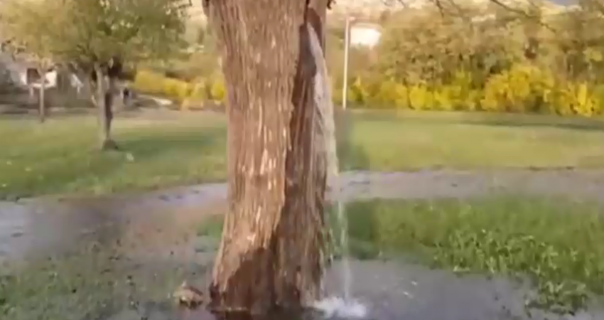 155273063434256200