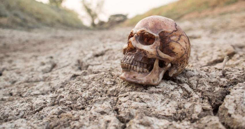 العلماء يعثرون على جمجمة عمرها 35 ألف عام