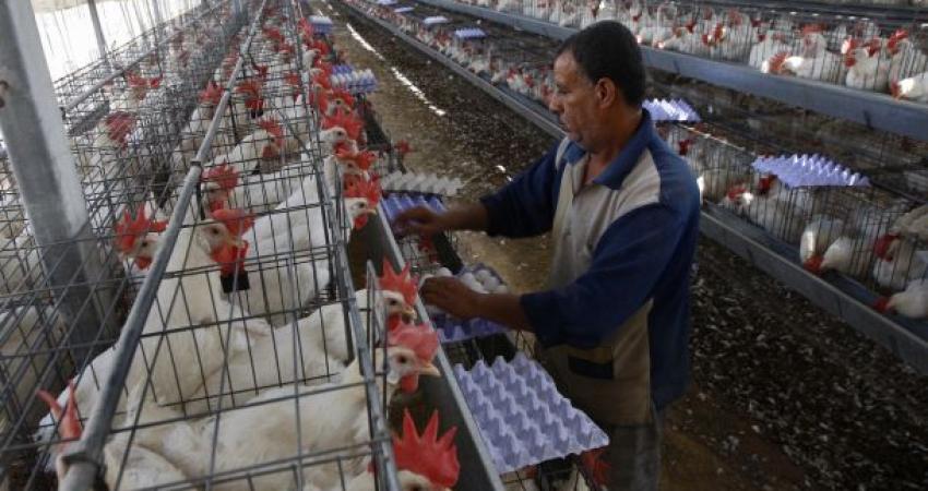 c818e28ad292e7f801990816c2cc438a