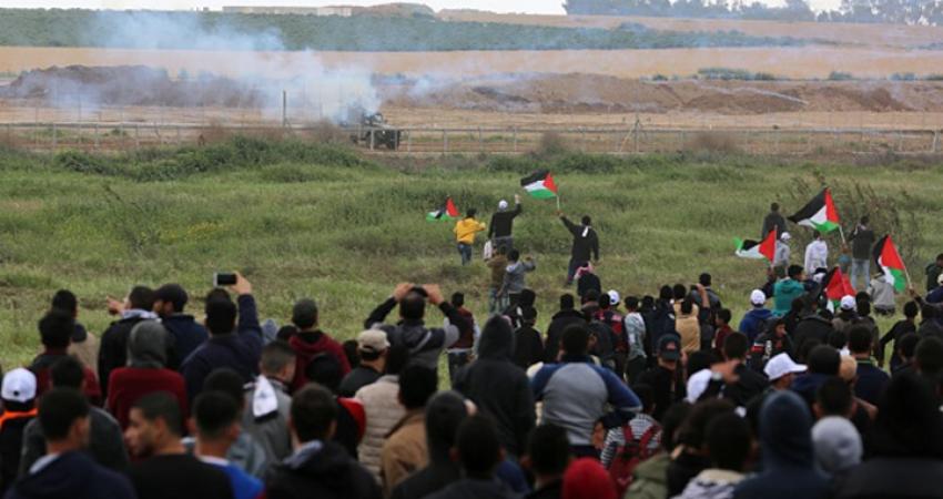 32018310411434