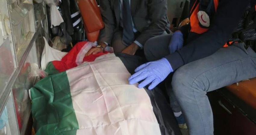 15723967_1479395202089664_150359850_n