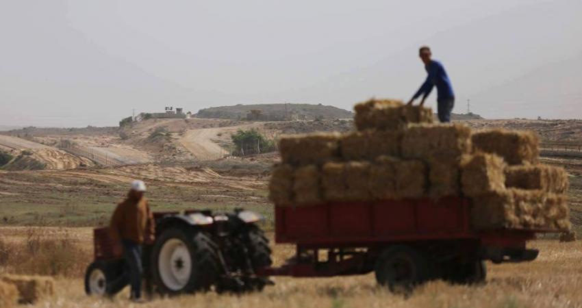 13226937_1169113526498880_3569835828248323586_n