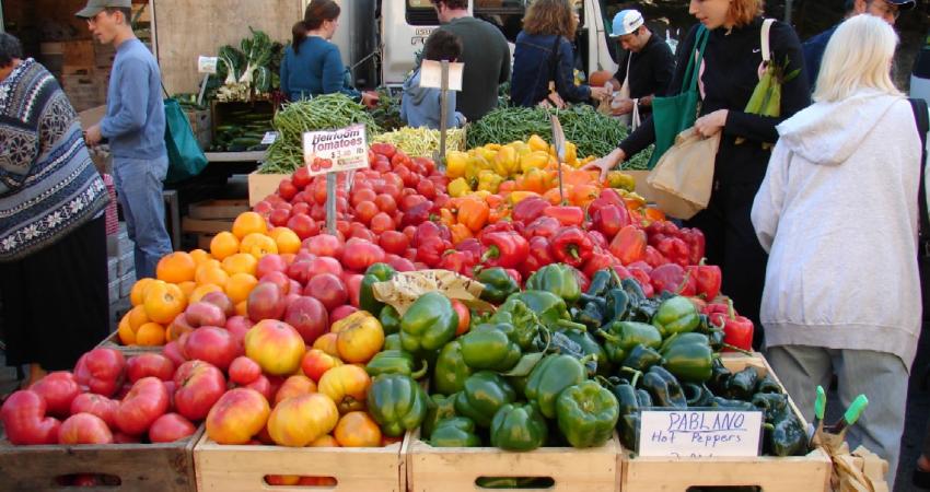 الإحصاء: أسعار المنتج تسجل ارتفاعاً بنسبة 1.86%