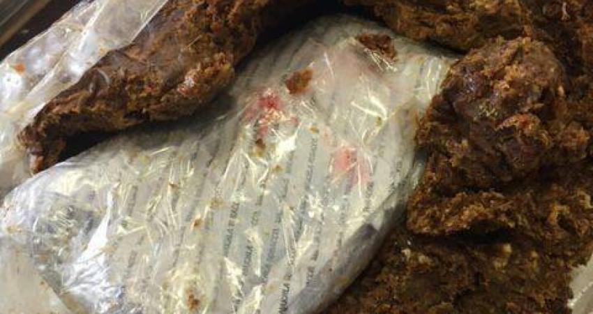 13221447_1375445145805478_3749286032660569073_n