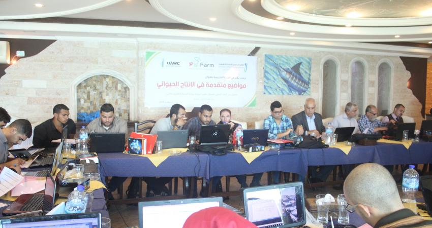 "الكلية الجامعية" تنظم دورة تدريبية متقدمة في الإنتاج الحيواني