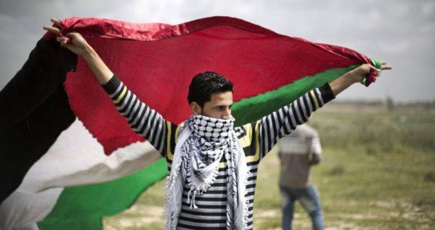 13010663_1143605319015255_8942057183484011780_n