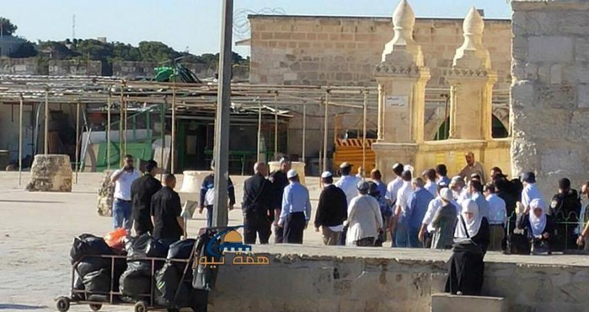 1936214_1398110700231346_100591909875757310_n