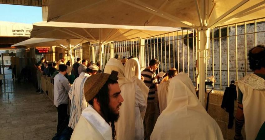 14590443_10153942419037621_5479644546664563804_n