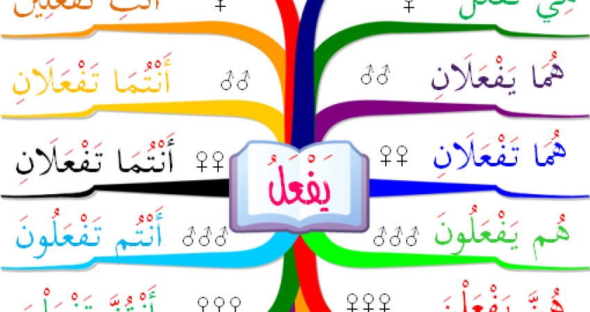 خرائط-العقل،-ثقف-نفسك-2