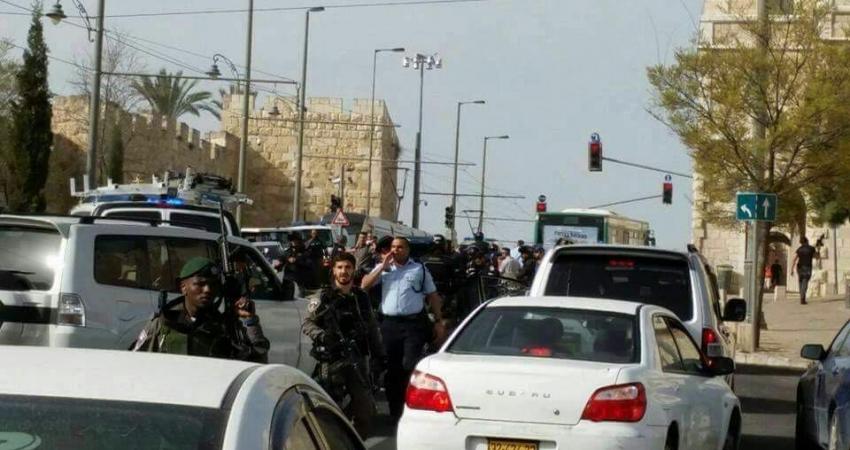 الاحتلال555