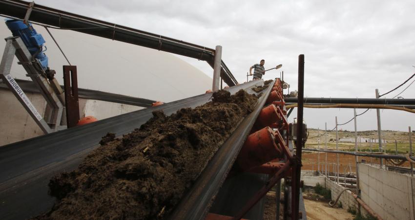 توليد الكهرباء بواسطة روث الأبقار