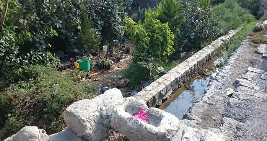 متطوعون ينظفون "عين سلوان" التاريخية