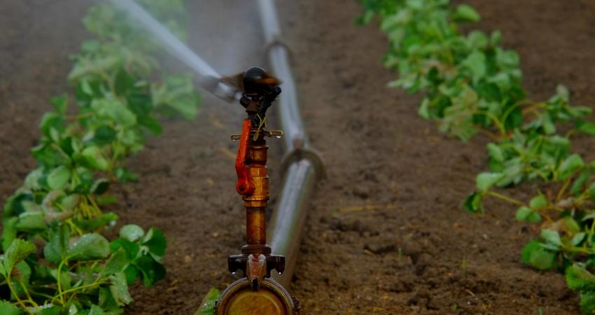 water-sprinklers-880965_1920