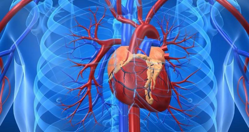  أطباء: عمليات القلب أكثر أمنا في المساء