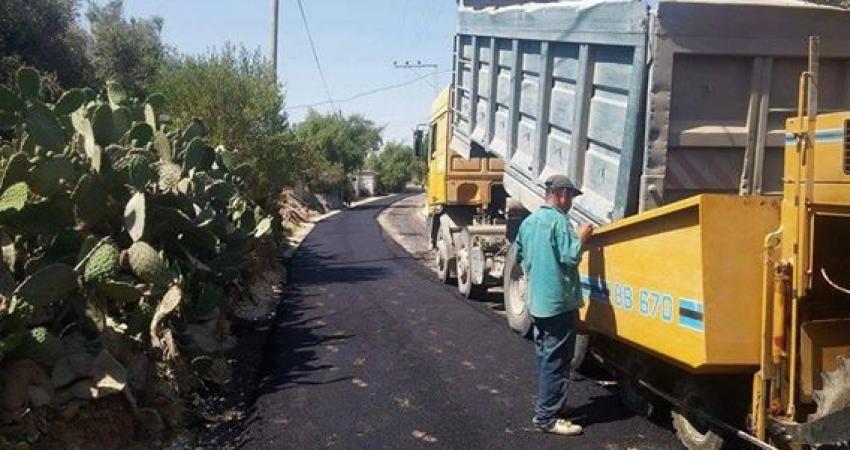 13615501_923388511105628_6840491221569794714_n