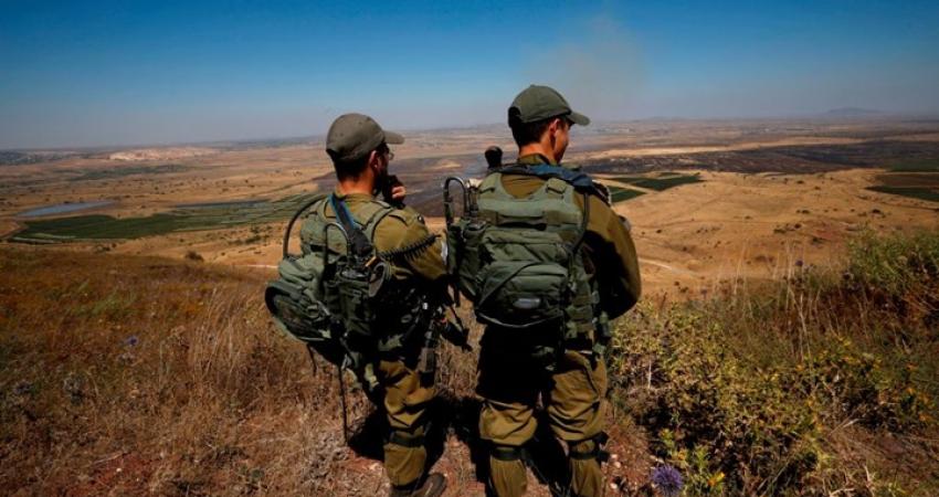 7201813104334804