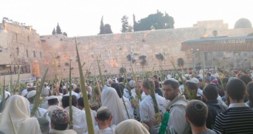 مستوطنون في حائط البراق