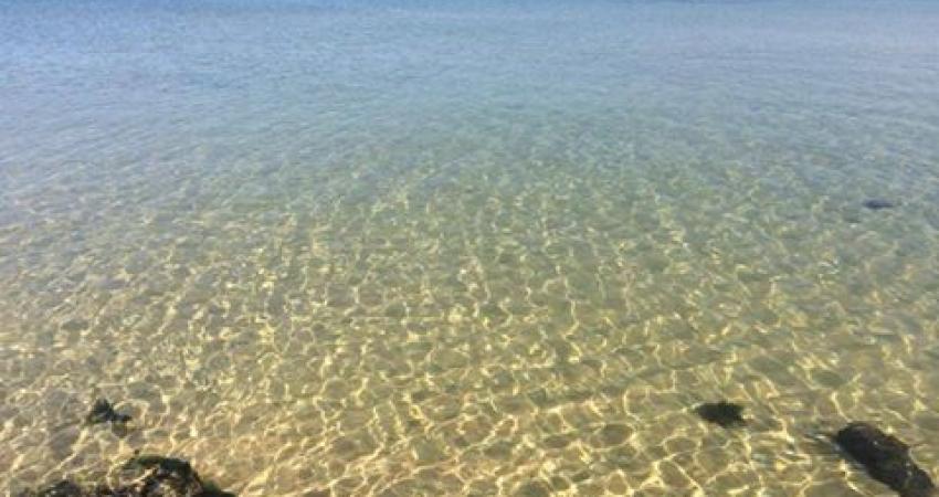 13043282_1381132291929187_6906694191423822361_n