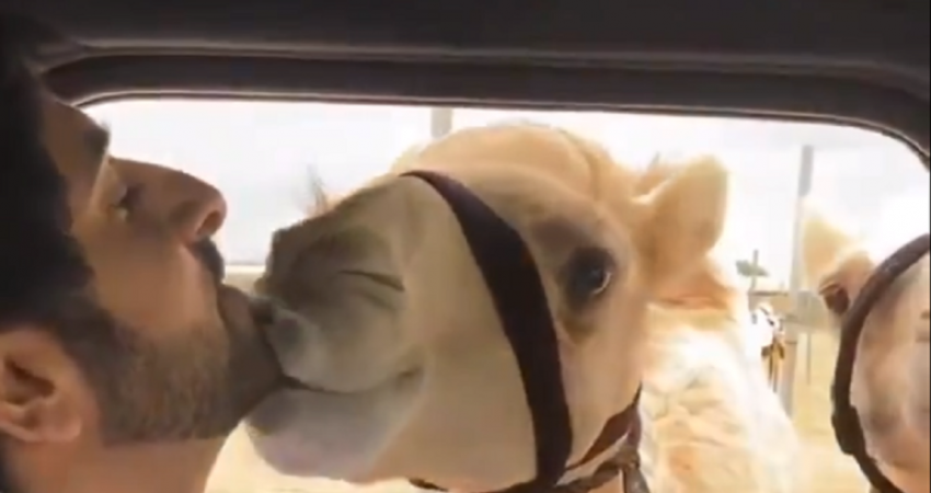 5e4408274c59b746485ce03f