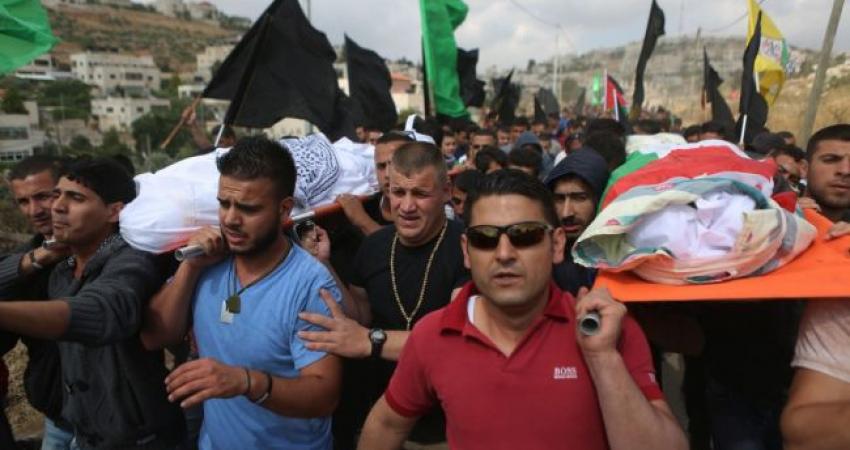 08147040201292922260277611328032