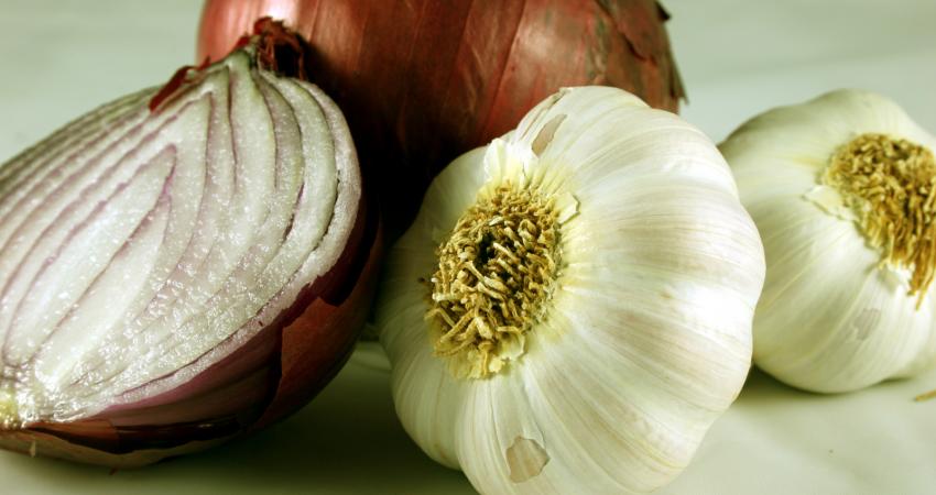 garlic_onions2