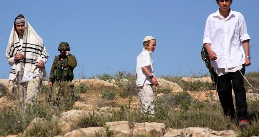 مستوطنون يعتدون على أراضي قرية قريوت