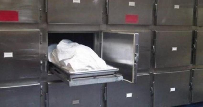 12184731172002001192225071803533