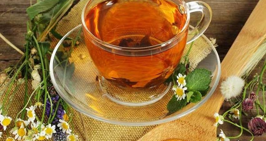 أفضل أنواع الأعشاب لعلاج السعال والتهاب الحلق