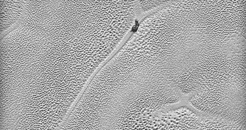1934222_1282263225149428_4417225372985650779_n