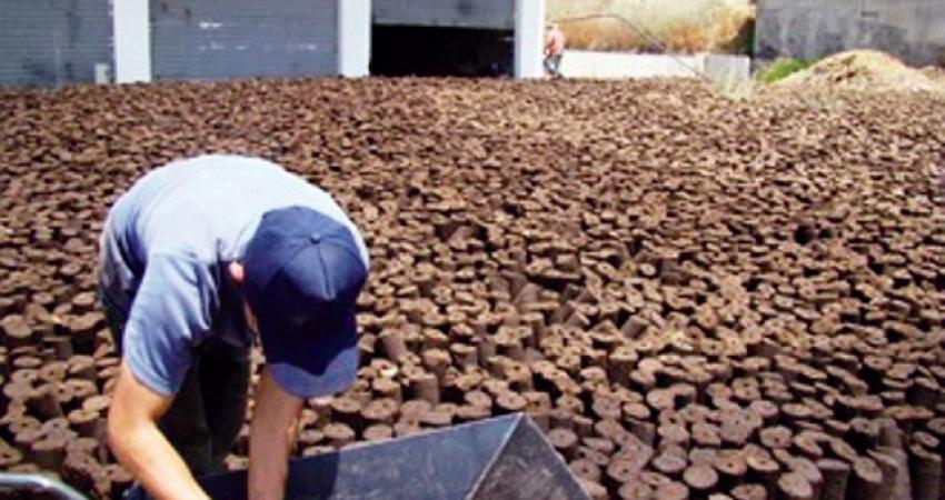 "قوالب الجفت".. صناعة فلسطينية حديثة