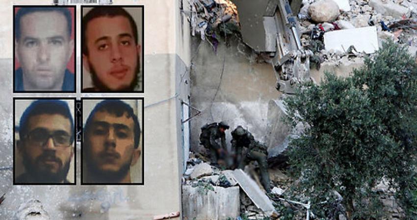 7161935492280autoresize