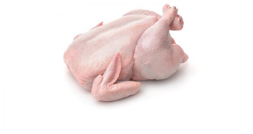دجاج