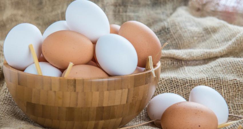 eggs