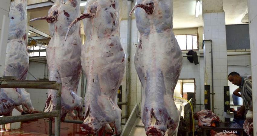 لحوم-أضاحي-مسلخ-نابلس