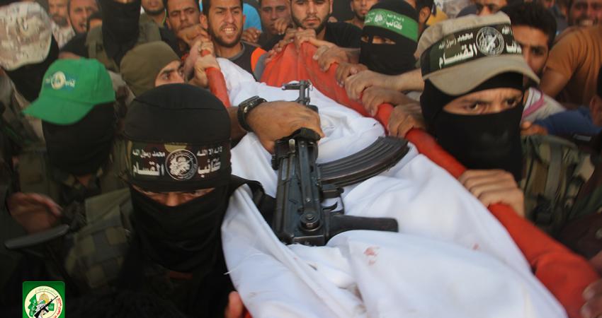 e8d7781a9df6114400997874ccba64f0