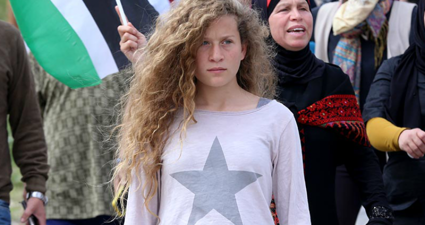 ahed (1)
