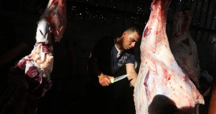 "صحفيون ضد الفساد" يوزعون الأضاحي على الأسر المستورة