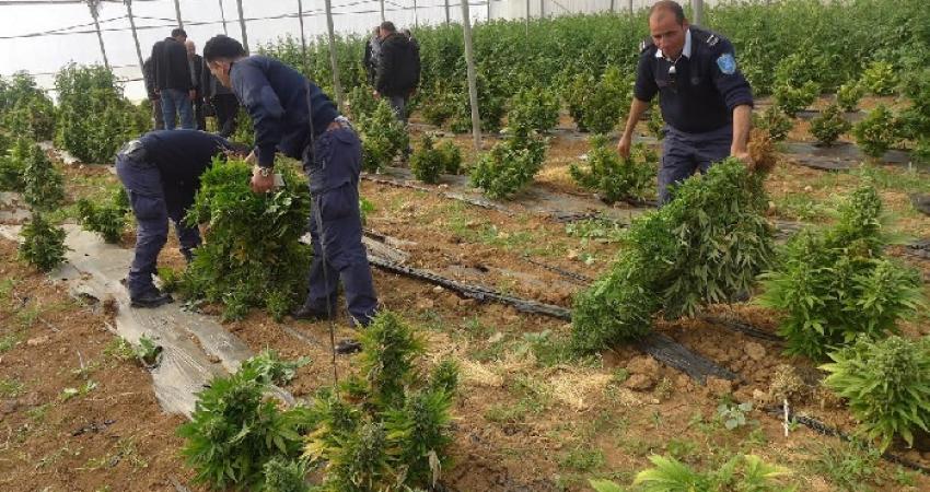 2015-05-04_111585461