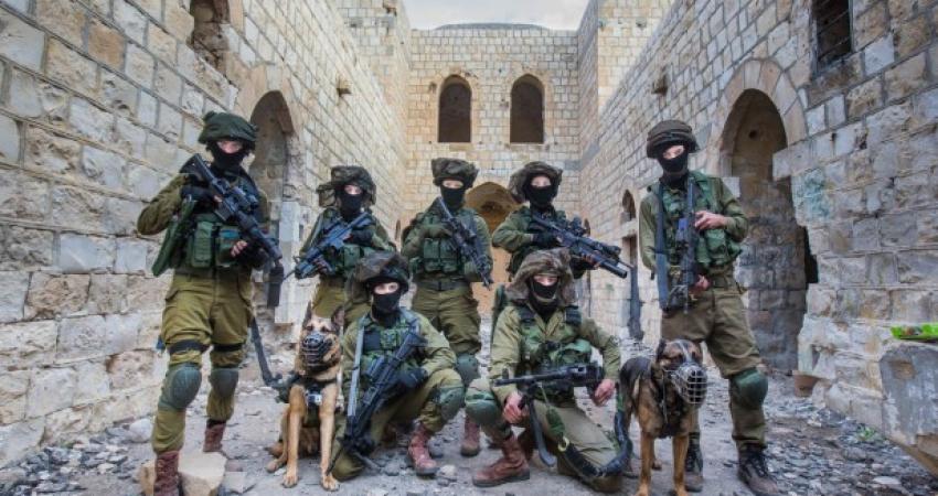 وحدة عوز بجيش الاحتلال الإسرائيلي