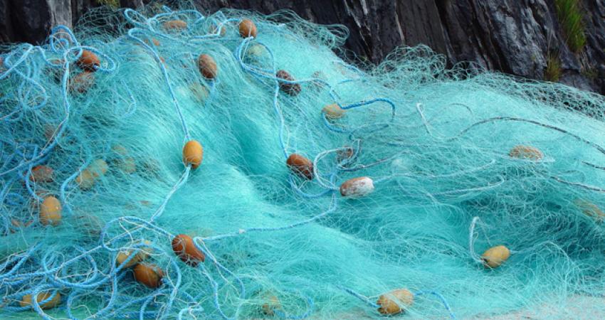 A_fishing_net_in_Brandon_Creek_-_geograph.org.uk_-_921094