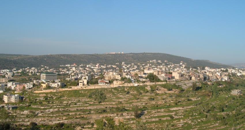 Salfit-31620