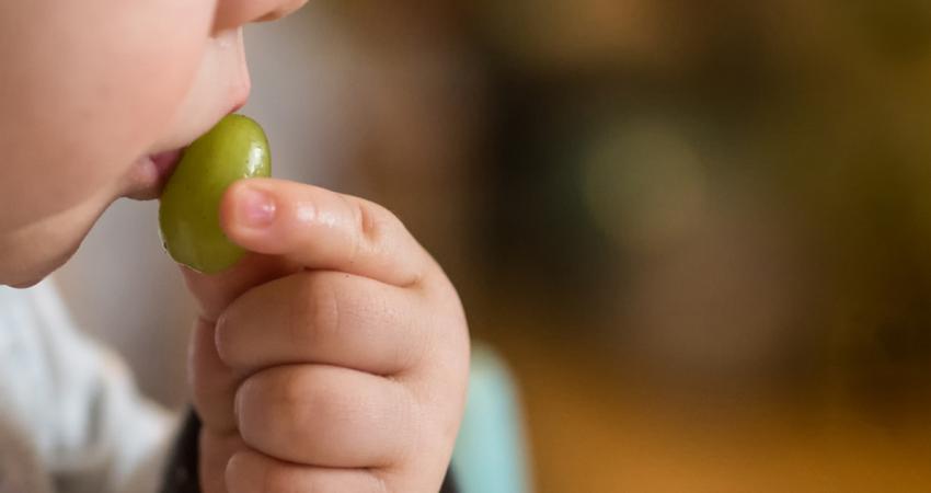 child-eating-grape