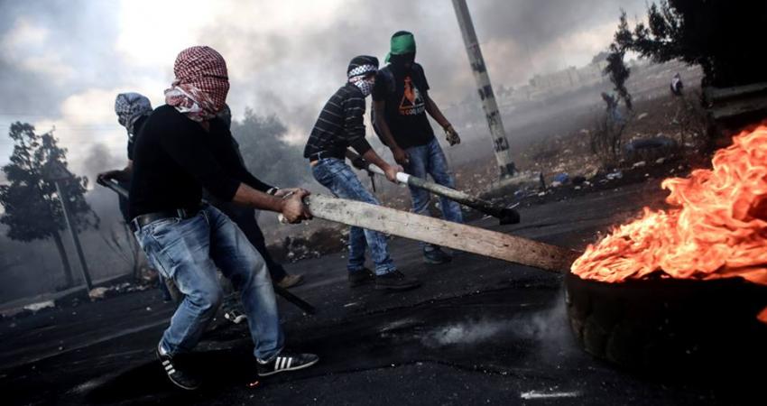 11149381_1204799396229145_6647261039555587489_n