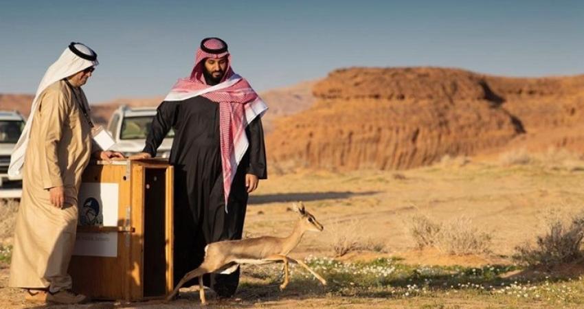 ابن سلمان يفتتح محمية ويعلق على 