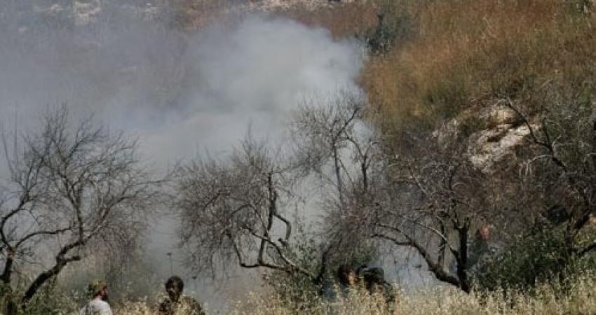 13241363_1400492766659806_4886980162445790089_n