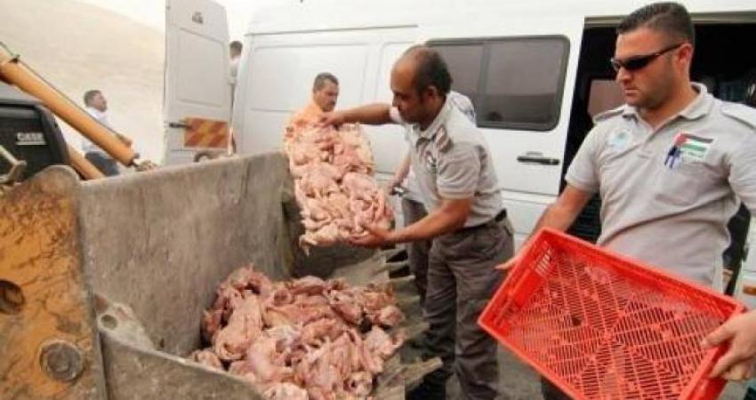 ضبط لحوم دجاج لا تحمل شهادات صحية برام الله
