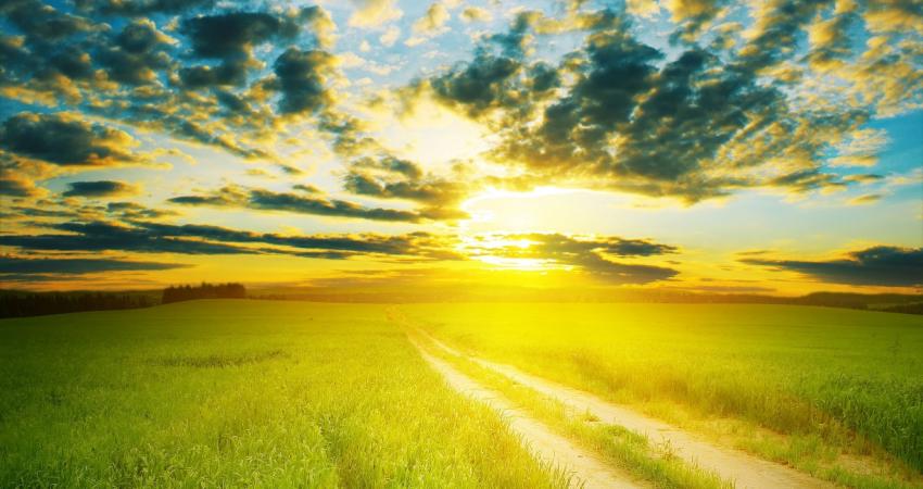 Summer-Sunshine